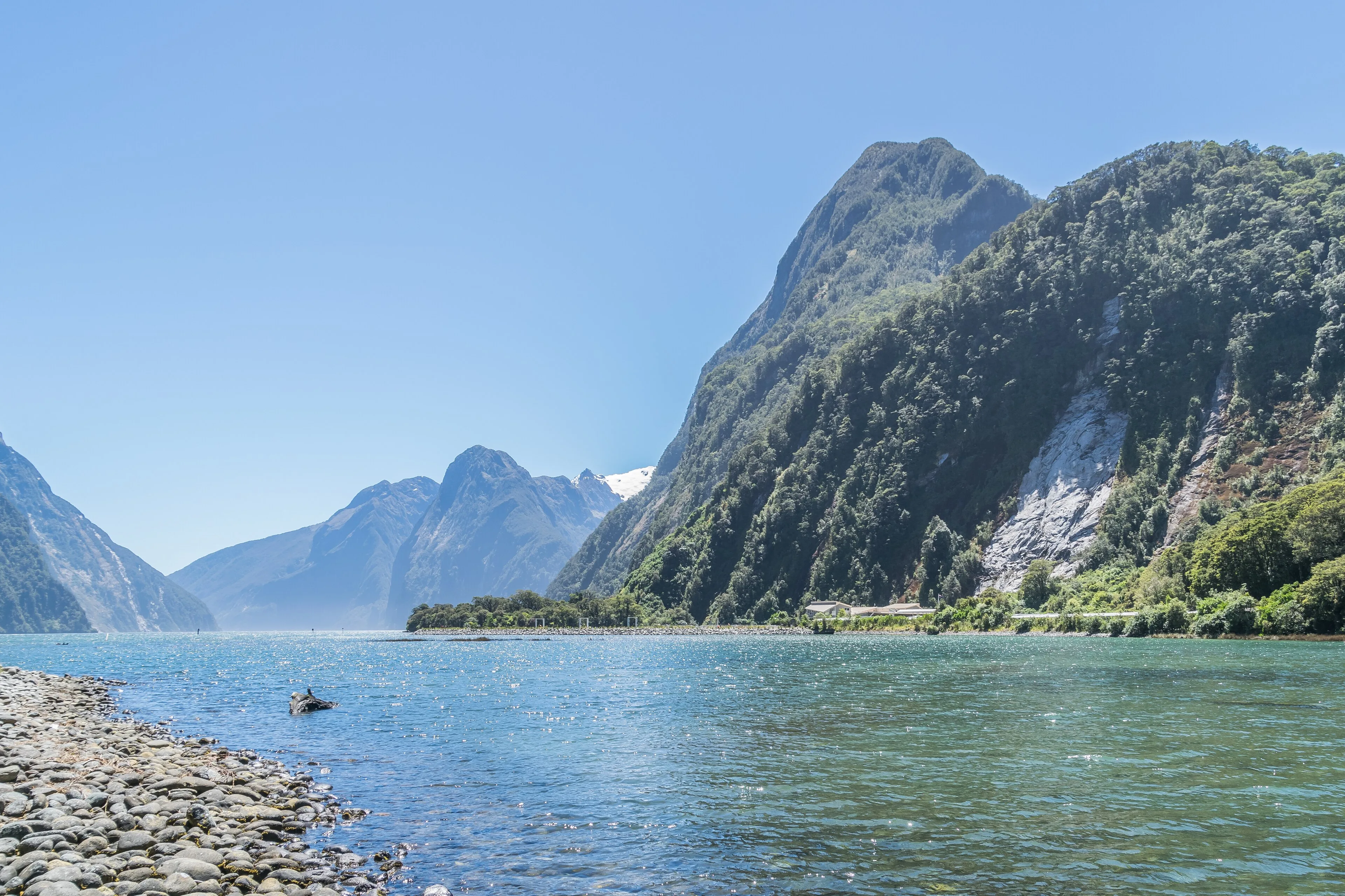 A steep green fiord reflected in dark water at Milford Sound