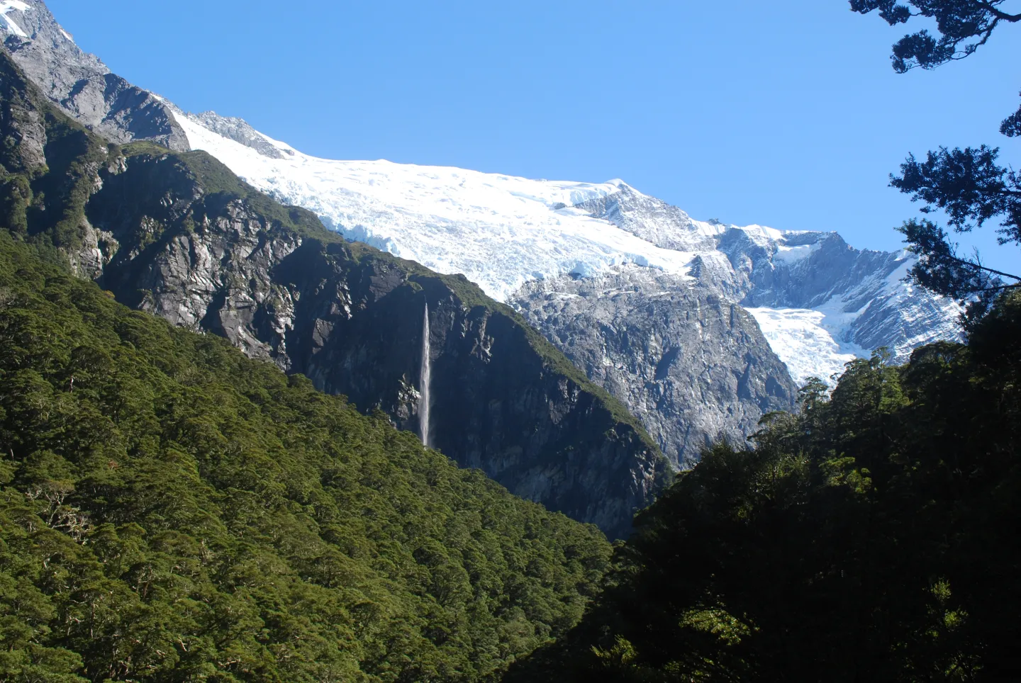 Rob Roy Glacier seen from the first lookout track in Mount Aspiring National Park