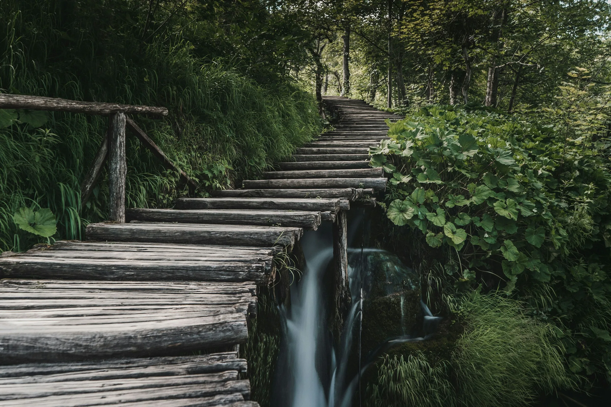 Waterfalls descending through green forest at Plitvice Lakes National Park